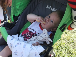 Családi Hétvége 2017 - Második nap - fotó: Sándor Judit