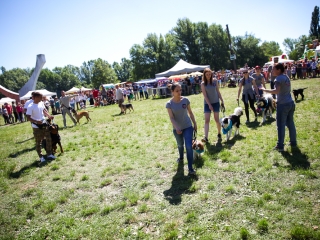 Családi Hétvége 2017 - Harmadik nap - fotó: Ónodi Zoltán