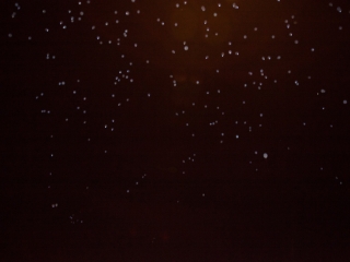 Családi Hétvége 2017 - Harmadik nap - fotó: Ónodi Zoltán