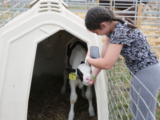 AgrárgépShow Mezőfalván - fotó: Sándor Judit
