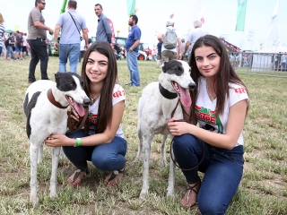 AgrárgépShow Mezőfalván - fotó: Sándor Judit