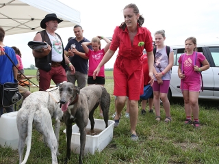 AgrárgépShow Mezőfalván - fotó: Sándor Judit