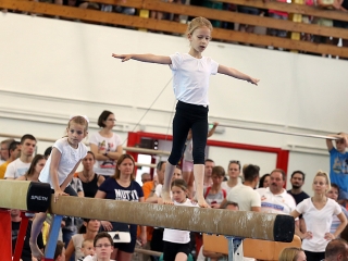 Dunaferr SE tornagála - fotó: Sándor Judit