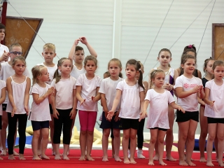 Dunaferr SE tornagála - fotó: Sándor Judit