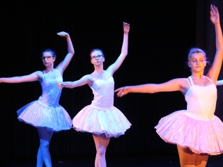 Gárdonyis évzáró gála a Bartókban - fotó: Sándor Judit