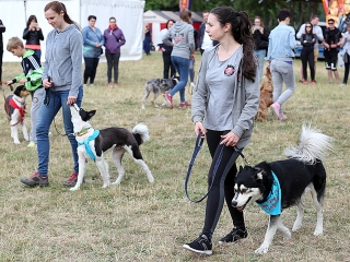 DUDIK 2017 - Harmadik nap - fotó: Sándor Judit