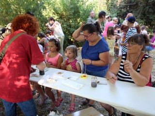 Múzeumok Éjszakája 2017 - fotó: Sándor Judit