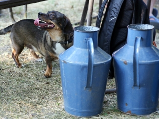 Múzeumok Éjszakája 2017 - fotó: Sándor Judit