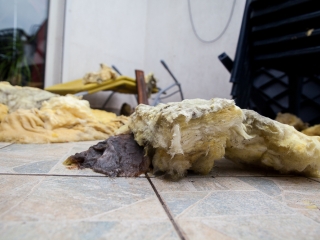 Sajtótájékoztató és bejárás a Bocskai utcában - fotó: Ónodi Zoltán