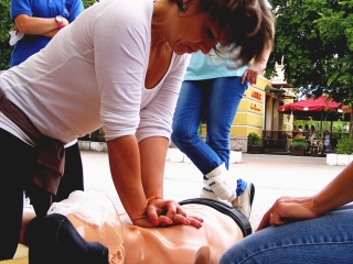 Világrekord webgaléria - fotó: 