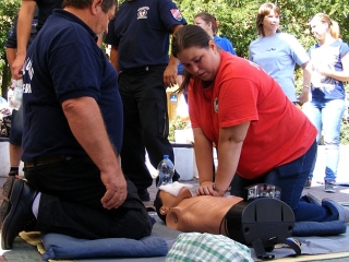 Világrekord webgaléria - fotó: 