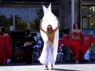 Világrekord webgaléria - fotó: 