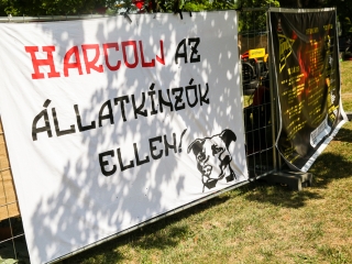 Rockmaraton 2017 - Kapunyitás - fotó: Ónodi Zoltán