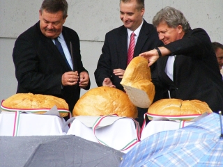 Augusztális 2014 - zenével, tánccal, köszöntőkkel, esővel - fotó: 