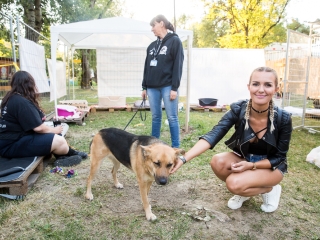 Rockmaraton 2017 - Harmadik nap - fotó: Ónodi Zoltán