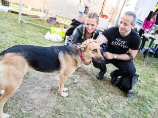 Rockmaraton 2017 - Harmadik nap - fotó: Ónodi Zoltán