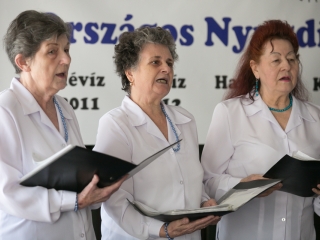 Ki mit tud - országos elődöntő - fotó: Ónodi Zoltán