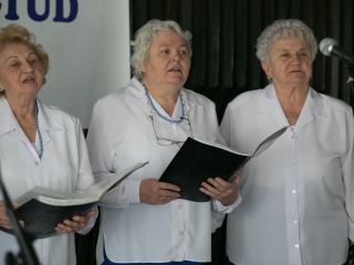 Ki mit tud - országos elődöntő - fotó: Ónodi Zoltán