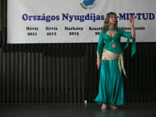 Ki mit tud - országos elődöntő - fotó: Ónodi Zoltán