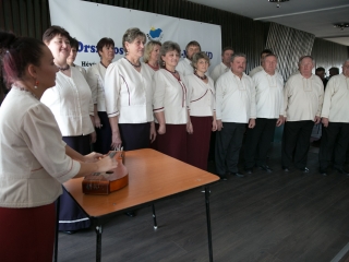 Ki mit tud - országos elődöntő - fotó: Ónodi Zoltán