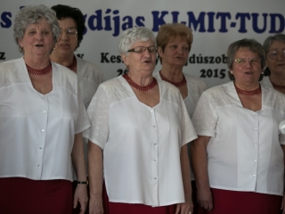 Ki mit tud - országos elődöntő - fotó: Ónodi Zoltán