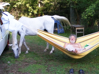 Skicc Csoport: gazdag tábori kínálat  - fotó: 