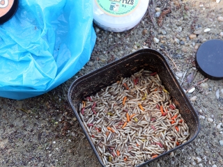 II. Horgász-, halászlé- és halfőző verseny - fotó: Sándor Judit