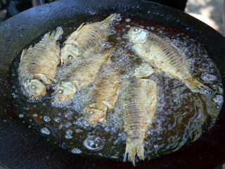 II. Horgász-, halászlé- és halfőző verseny - fotó: Sándor Judit