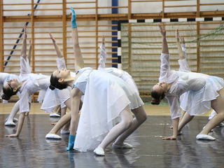 Francia vendégek a Gárdonyiban - fotó: Sándor Judit