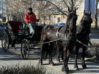 Esküvőkiállítás- 2015.02.07. - fotó: Sándor Judit