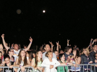 DUDIK-képtár: keresd magad! - fotó: 