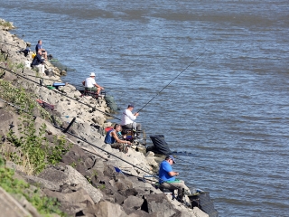 Édesvízi Sporthorgász Világbajnokság jubileumi emlékverseny - fotó: Sándor Judit
