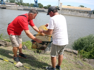 Édesvízi Sporthorgász Világbajnokság jubileumi emlékverseny - fotó: Sándor Judit