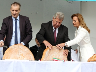 Augusztális 2017 - fotó: 