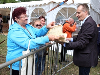 Augusztális 2017 - fotó: 