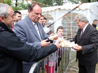 Augusztális 2017 - fotó: 