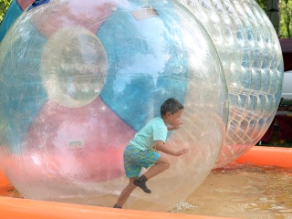 Augusztális 2017 - fotó: 