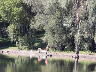 Halpusztulás a szabadstrandon - fotó: Sándor Judit
