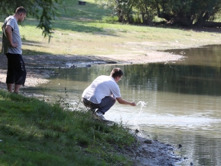Halpusztulás a szabadstrandon - fotó: Sándor Judit