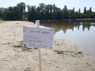 Halpusztulás a szabadstrandon - fotó: Sándor Judit