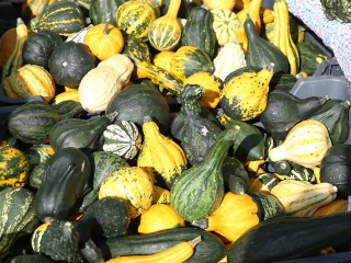 Rácalmási Tökfesztivál (2017) - fotó: Sándor Judit