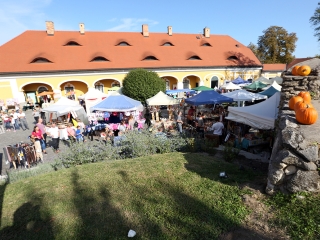 Rácalmási Tökfesztivál (2017) - fotó: Sándor Judit