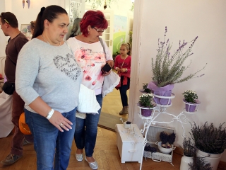 Rácalmási Tökfesztivál (2017) - fotó: Sándor Judit