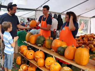 Rácalmási Tökfesztivál (2017) - fotó: Sándor Judit