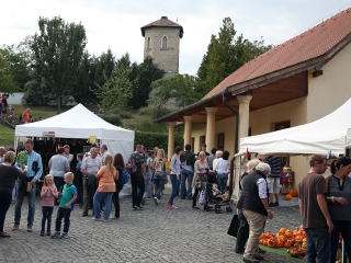 Rácalmási Tökfesztivál (2017) - fotó: Sándor Judit