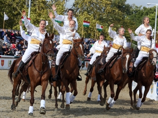 Nemzeti Vágta 2017 - fotó: Sándor Judit