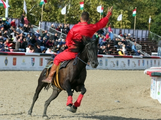 Nemzeti Vágta 2017 - fotó: Sándor Judit