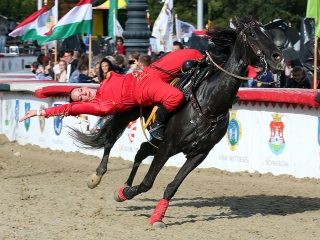 Nemzeti Vágta 2017 - fotó: Sándor Judit