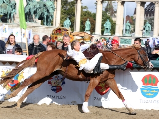 Nemzeti Vágta 2017 - fotó: Sándor Judit