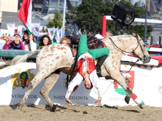 Nemzeti Vágta 2017 - fotó: Sándor Judit